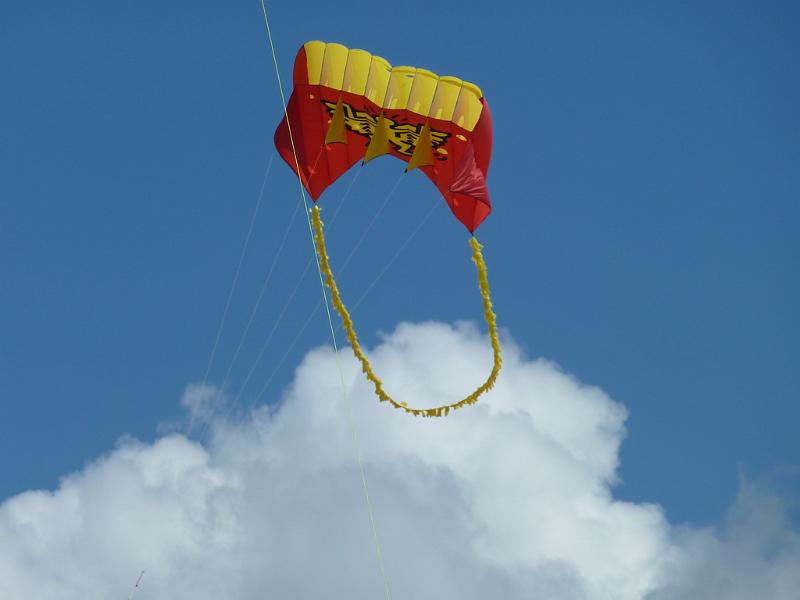 Fanø 2010 036.JPG